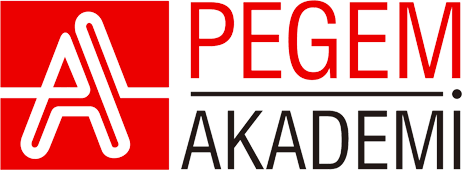 Pegem yayin icerik logo